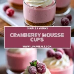 Cranberry Mousse Cups (2)