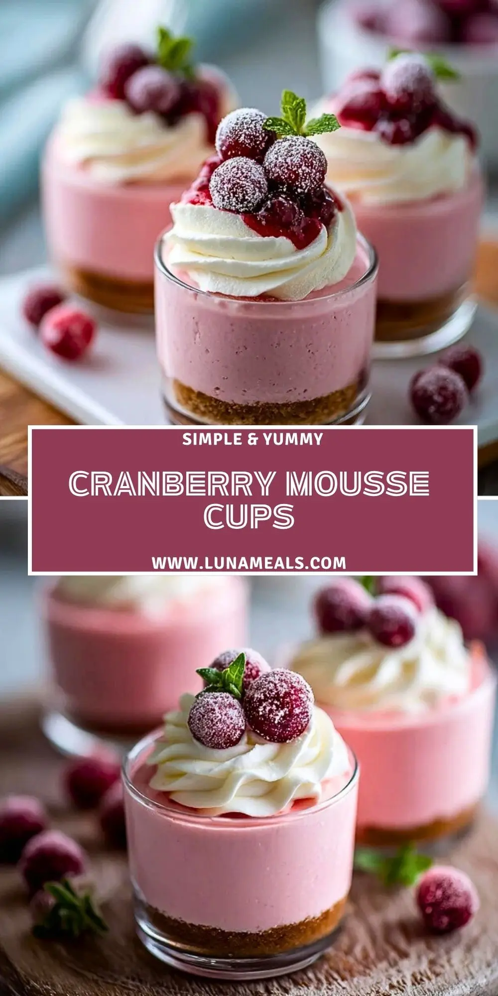 Cranberry Mousse Cups (2)