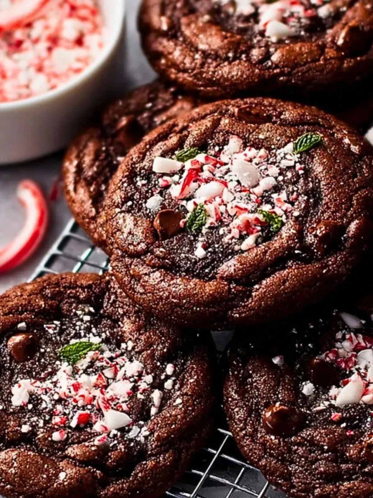 Double Chocolate Peppermint Cookies (1)