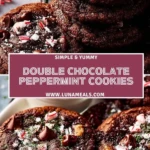 Double Chocolate Peppermint Cookies (2)