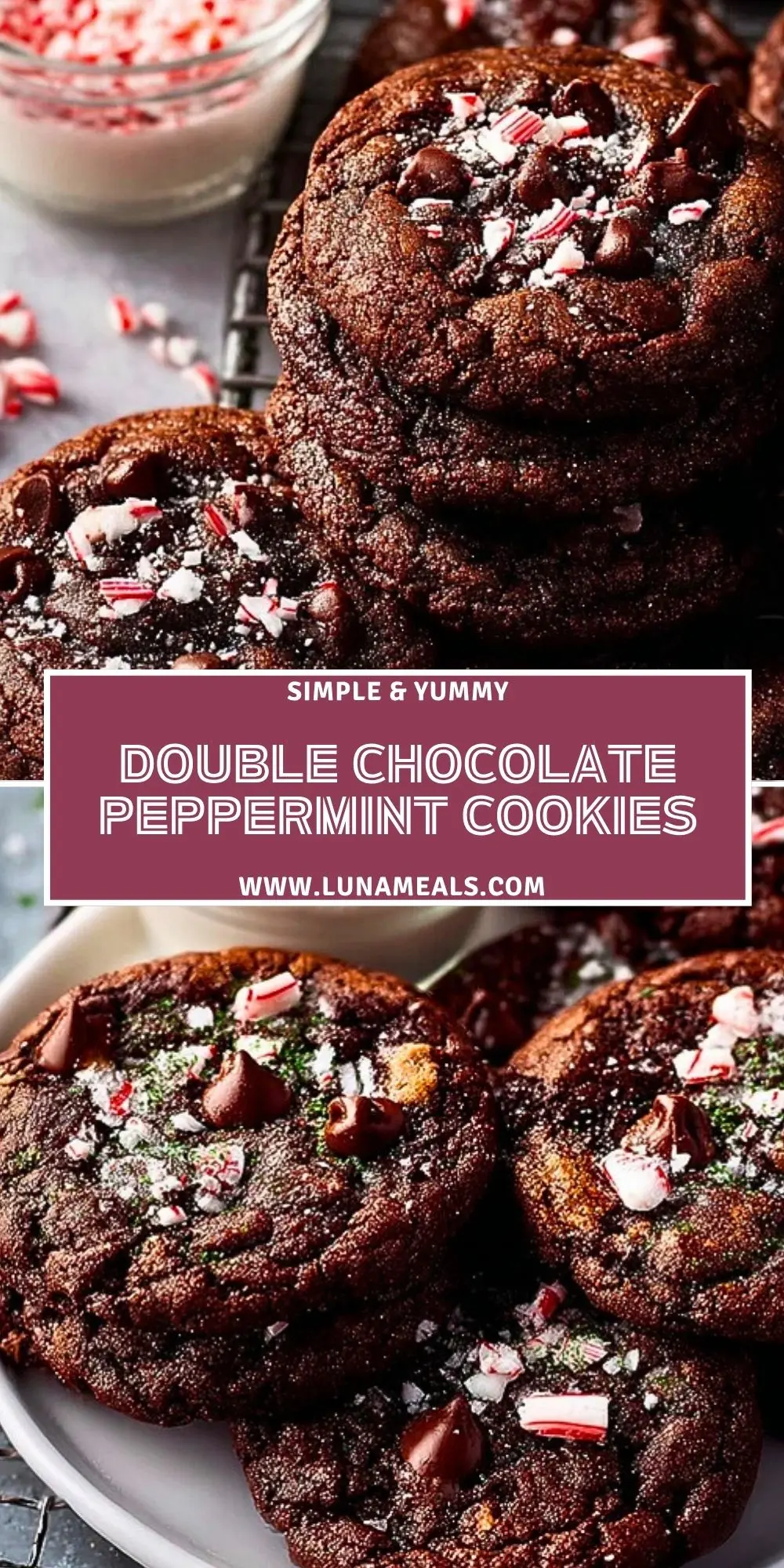 Double Chocolate Peppermint Cookies (2)