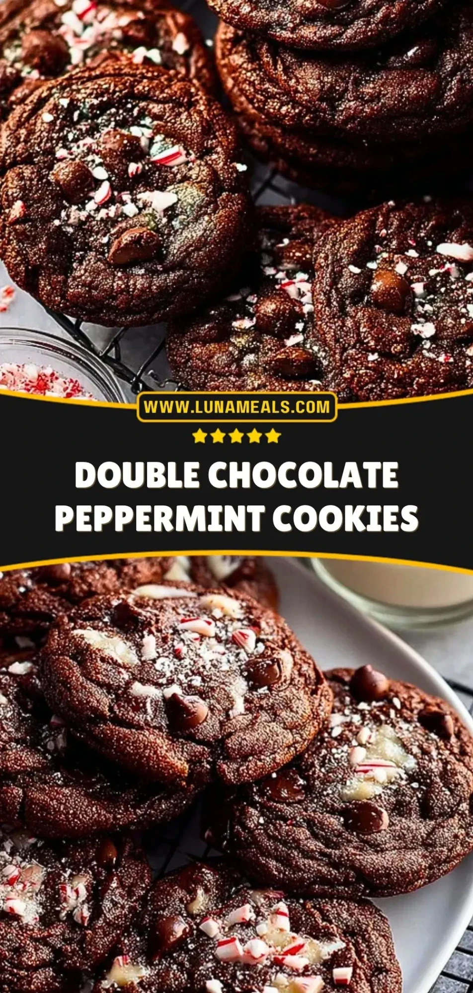 Double Chocolate Peppermint Cookies (3)