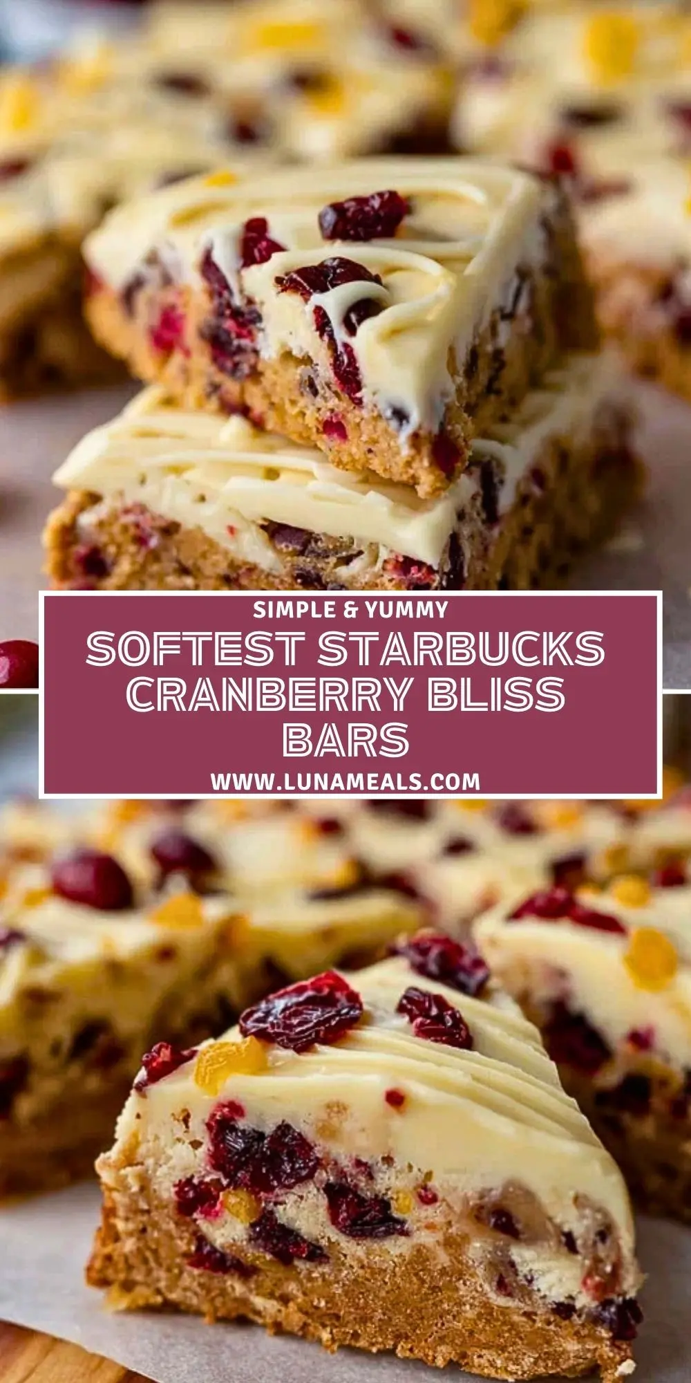 Softest Starbucks Cranberry Bliss Bars (2)