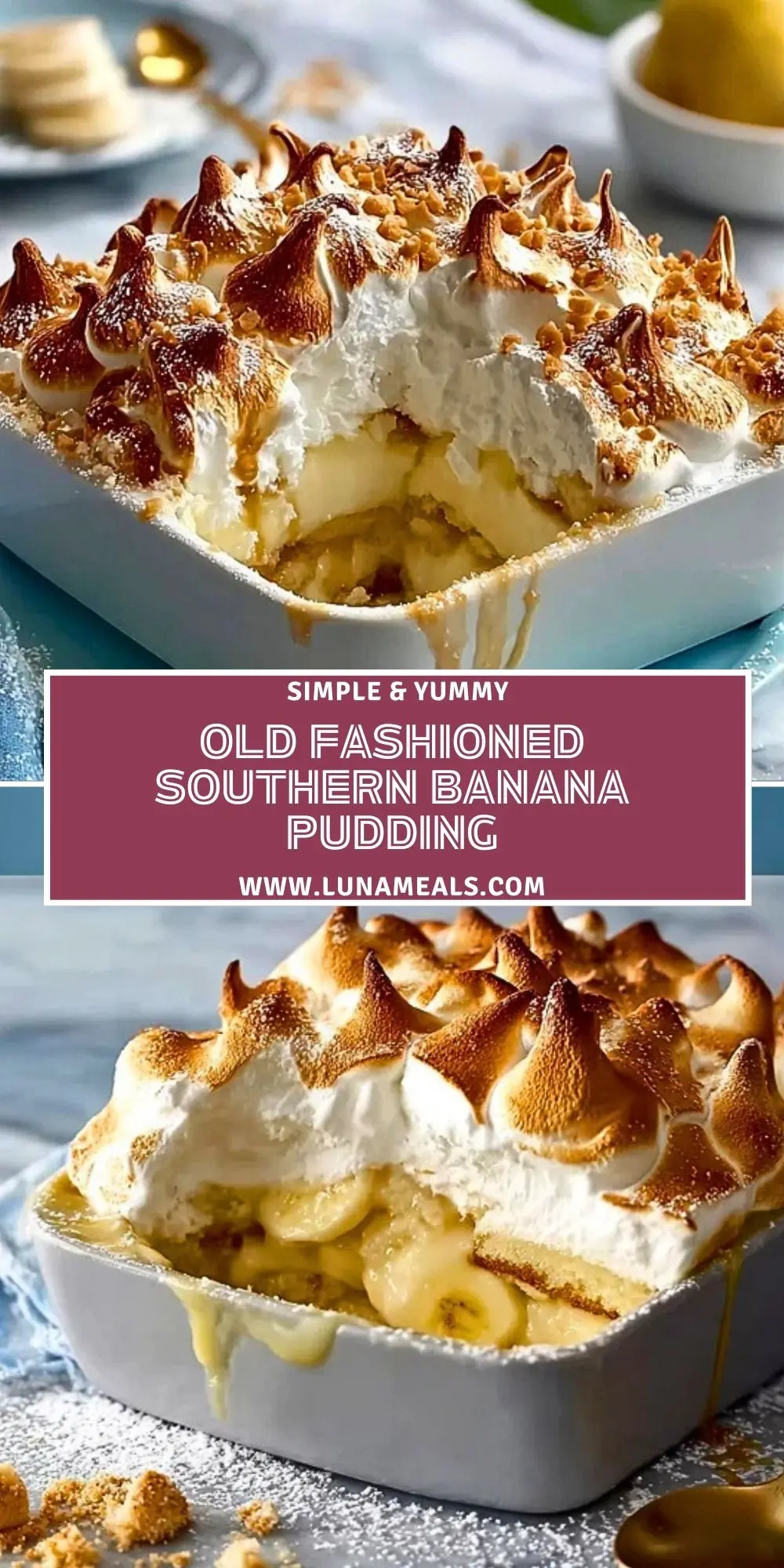 Old Fashioned Southern Banana Pudding (2)