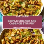 Simple Chicken And Cabbage Stir Fry (2)
