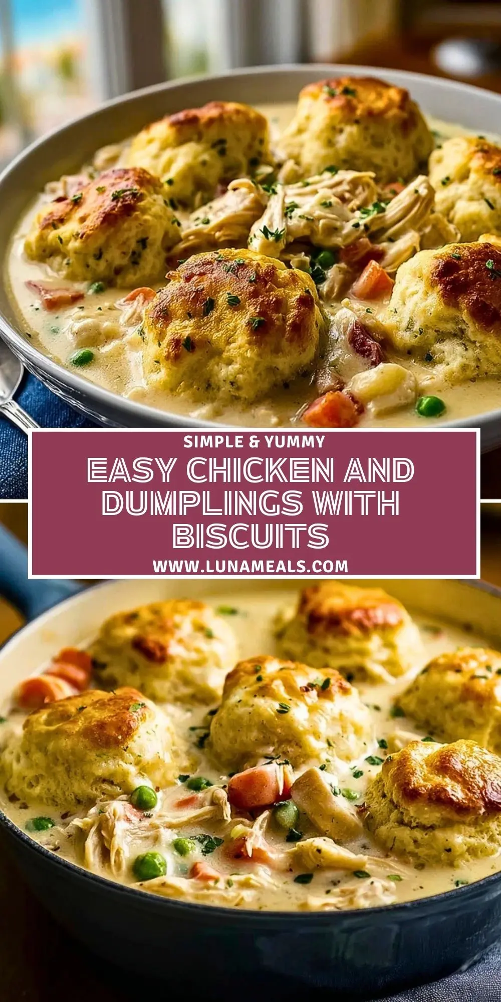 Easy Chicken and Dumplings with Biscuits (2)