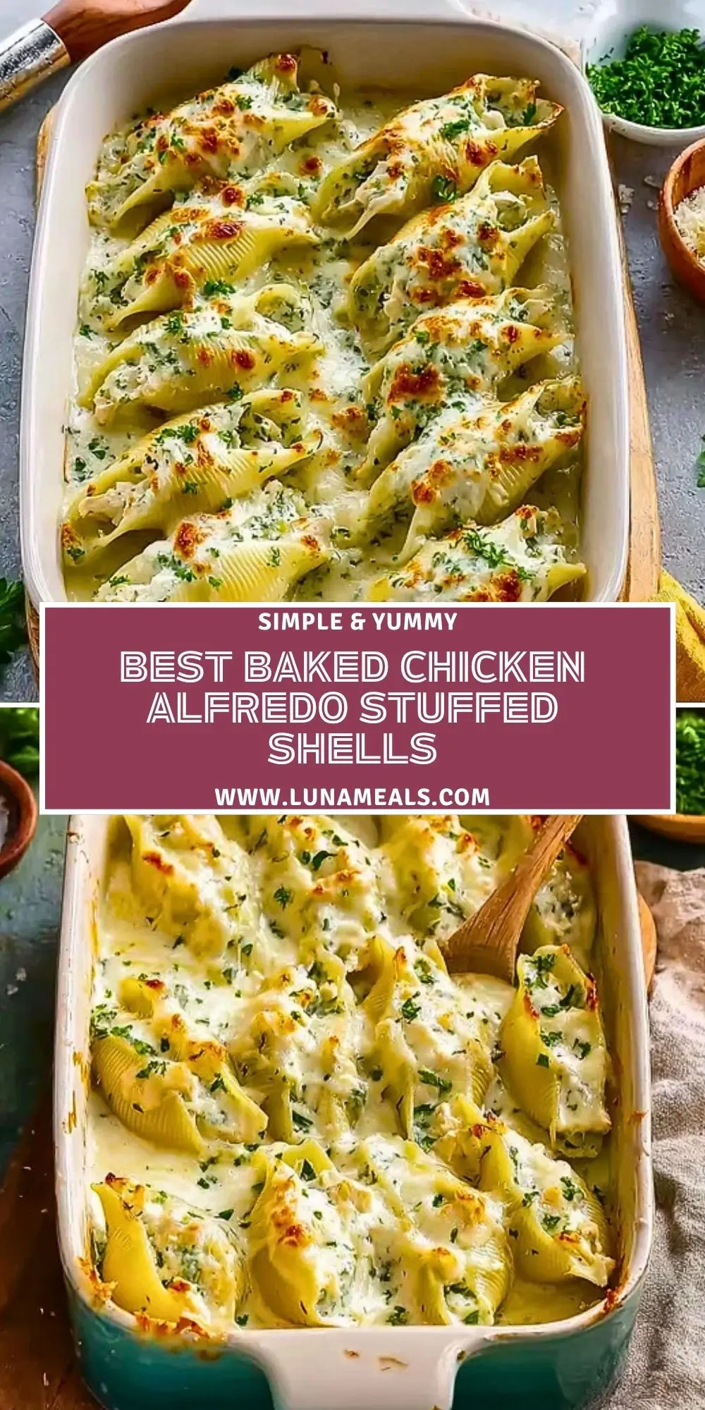 Best Baked Chicken Alfredo Stuffed Shells (2)