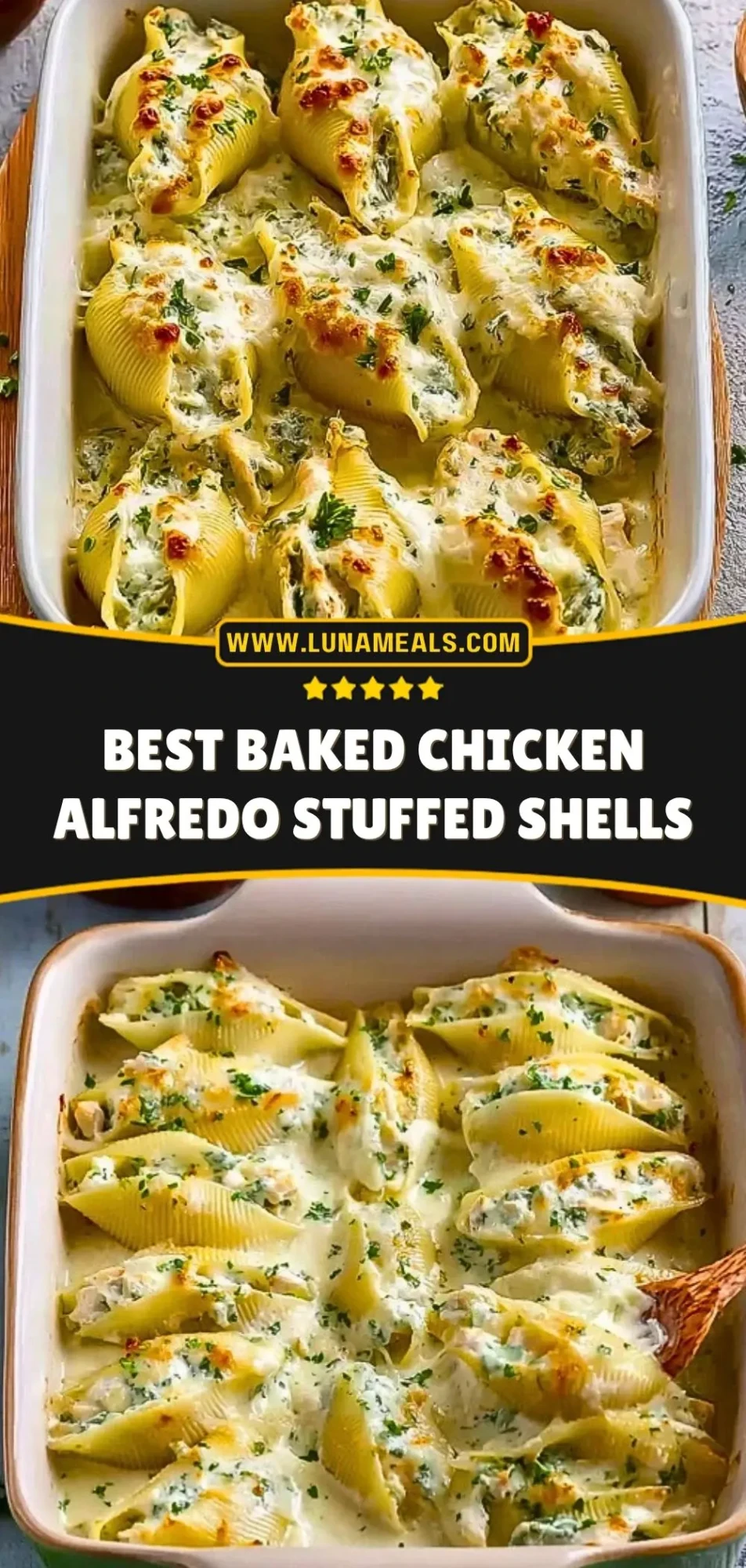 Best Baked Chicken Alfredo Stuffed Shells (3)