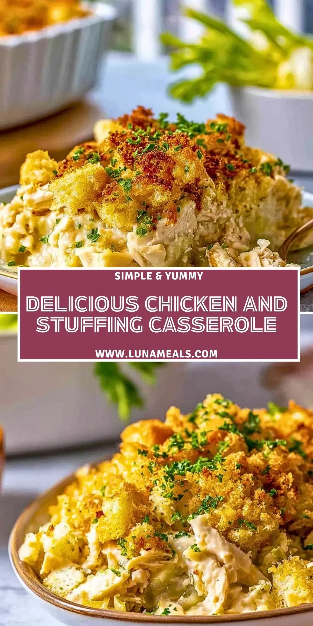 Delicious Chicken And Stuffing Casserole (2)