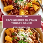 Ground Beef Pasta In Tomato Sauce (2)