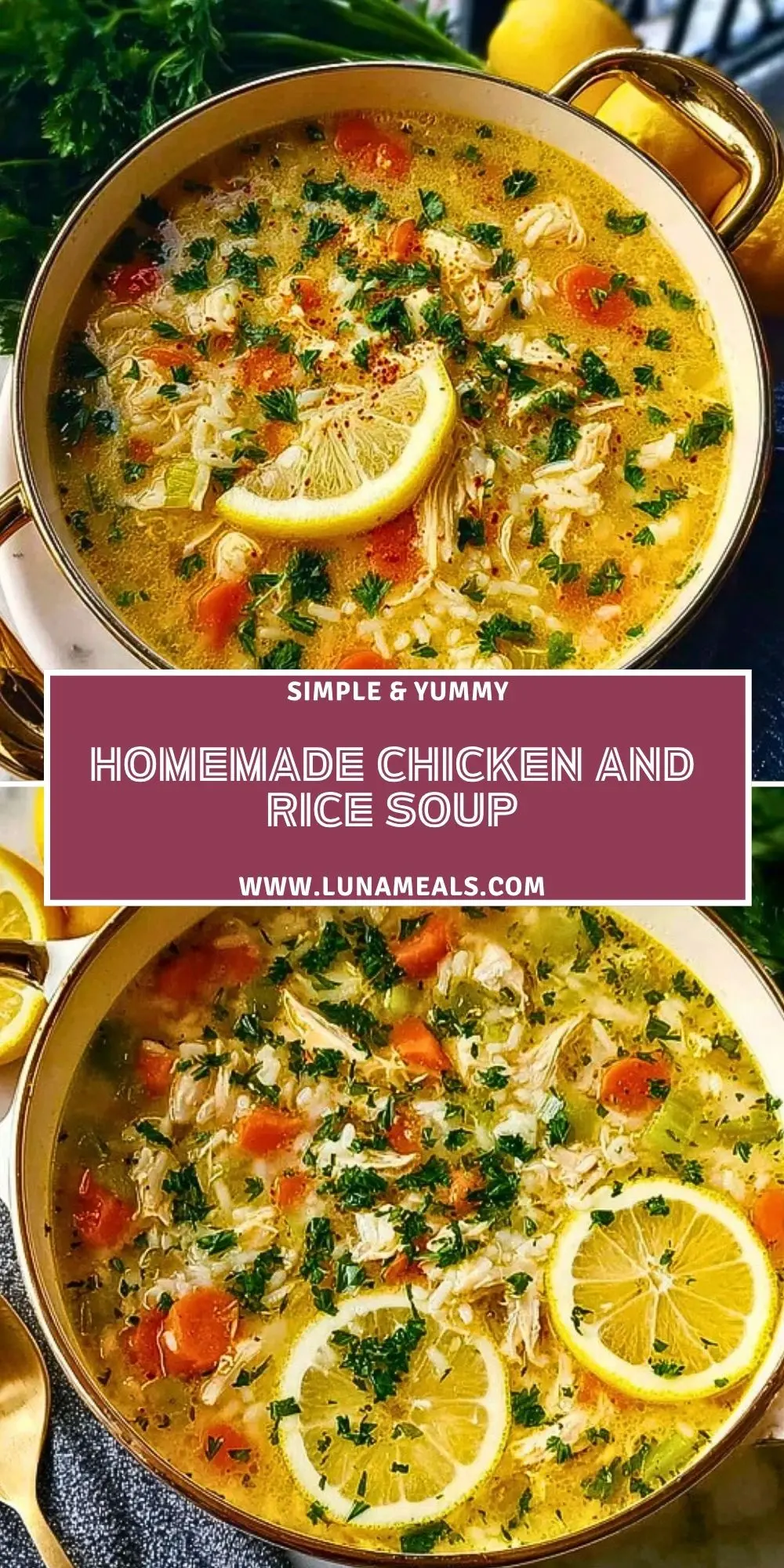 Homemade Chicken And Rice Soup (2)