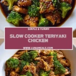 Slow Cooker Teriyaki Chicken (2)