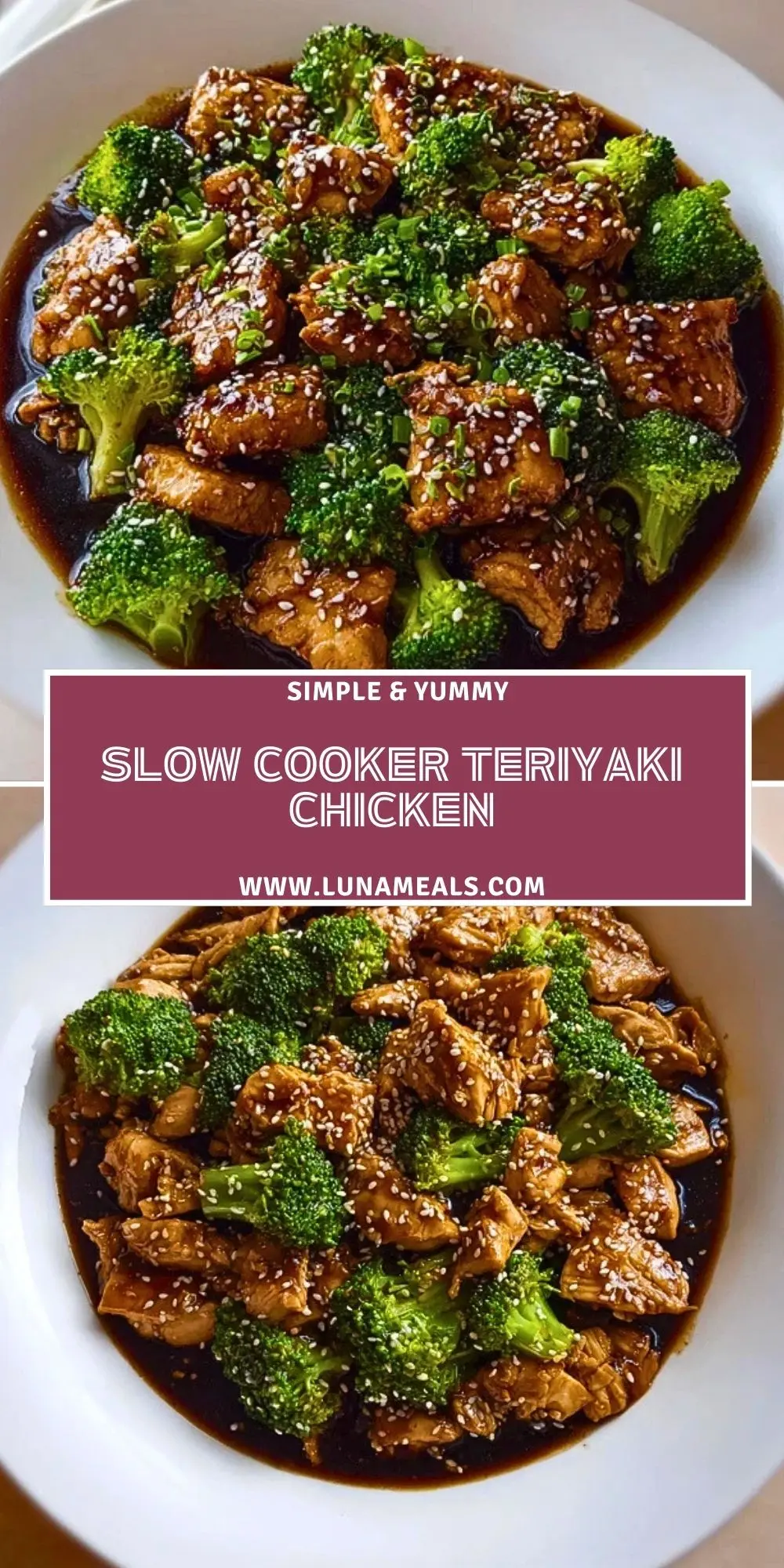 Slow Cooker Teriyaki Chicken (2)