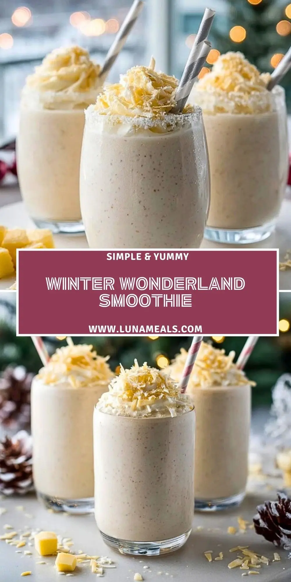 Winter Wonderland Smoothie (2)