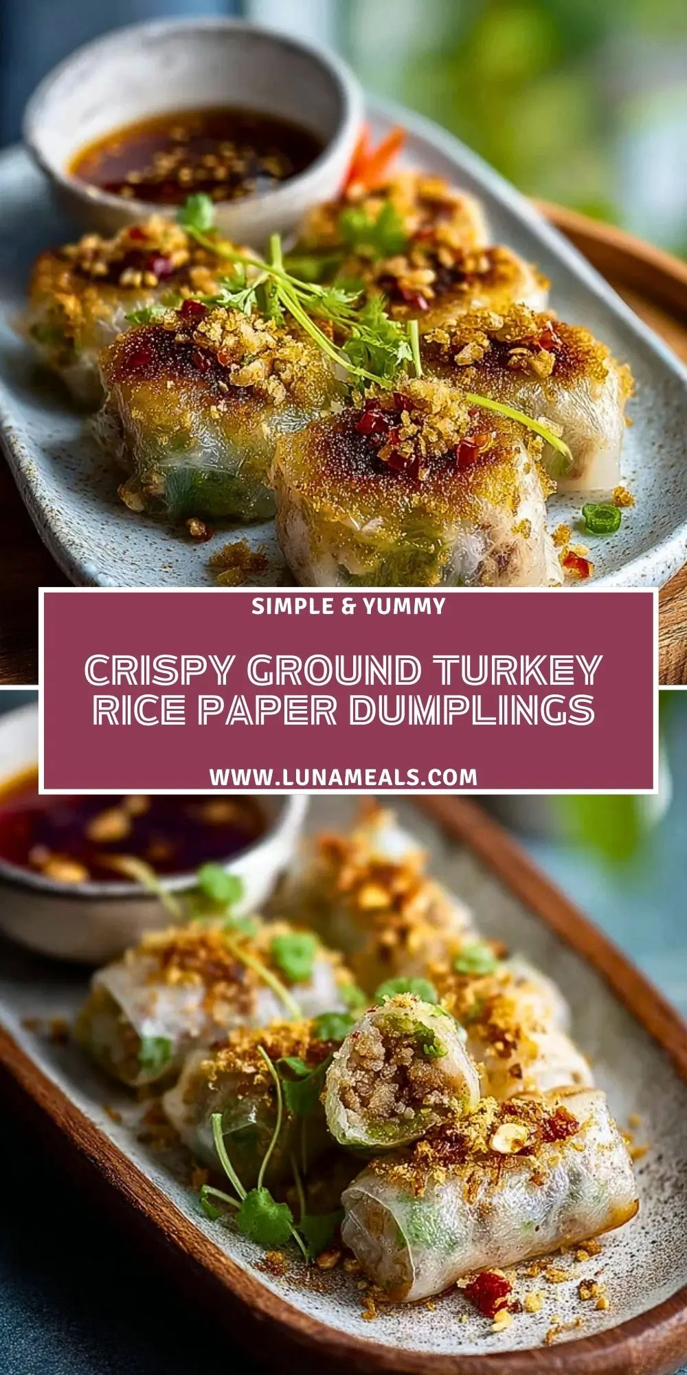 Crispy Ground Turkey Rice Paper Dumplings (2)