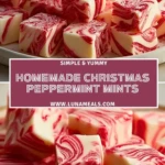 Homemade Christmas Peppermint Mints (2)