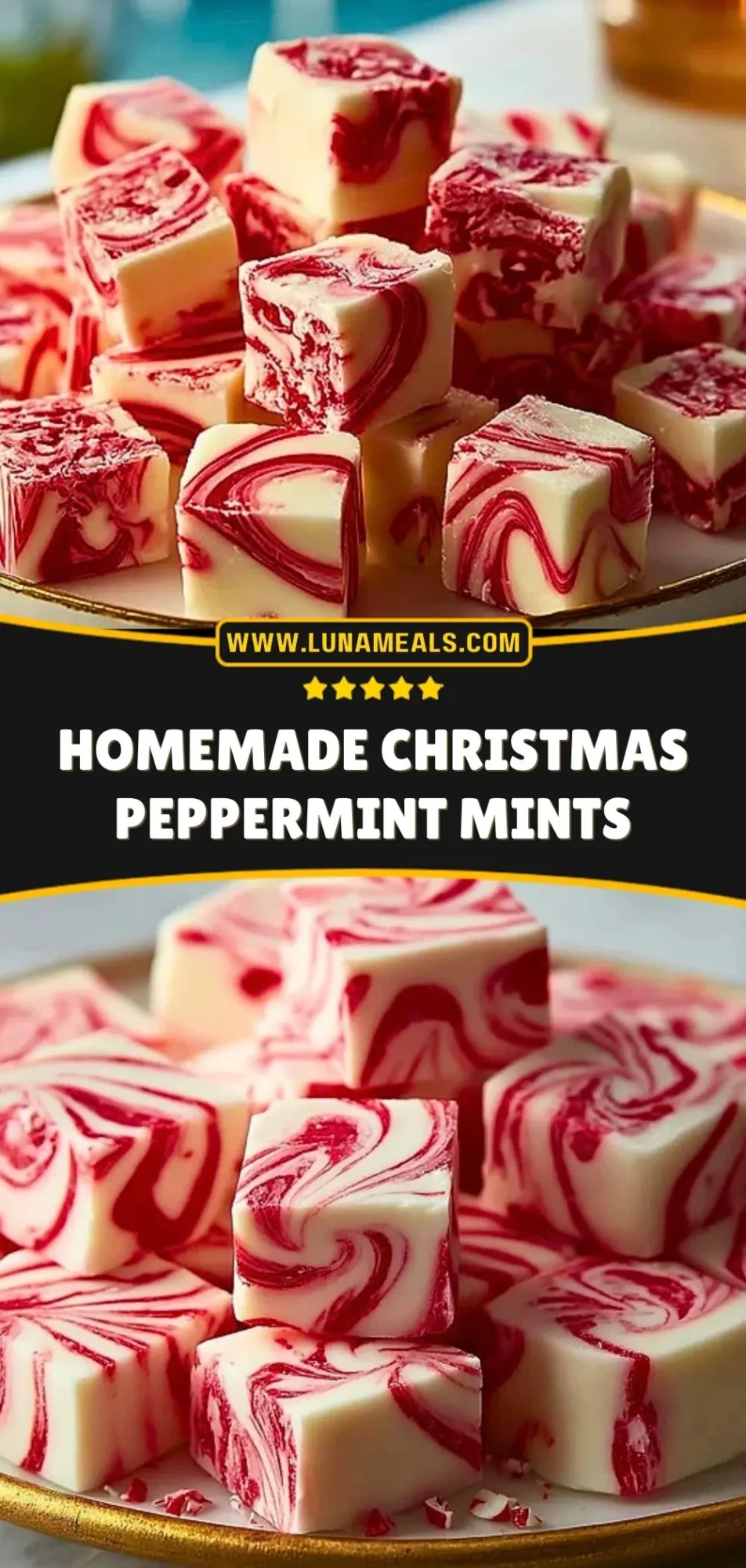 Homemade Christmas Peppermint Mints (3)