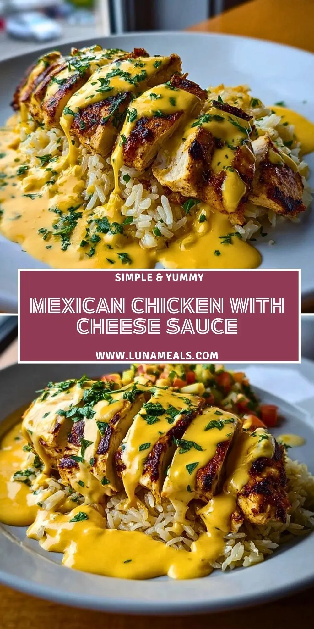 Mexican Chicken with Cheese Sauce (2)