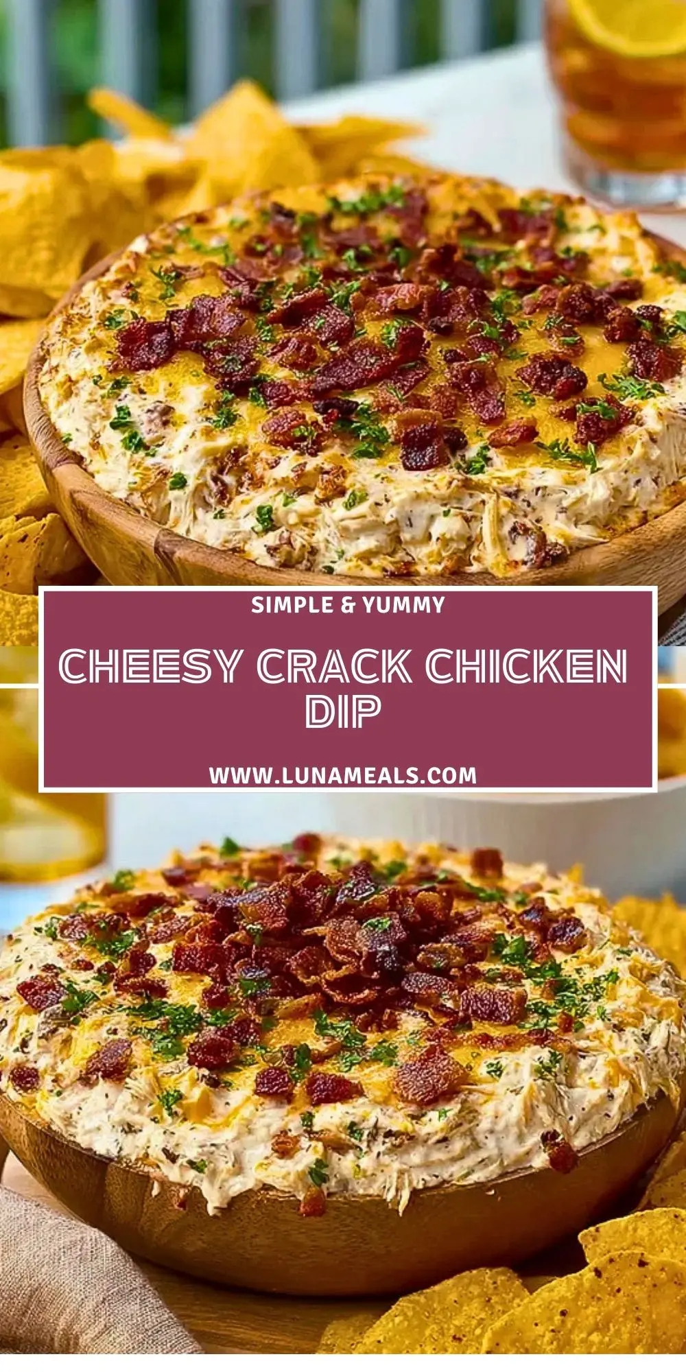 Cheesy Crack Chicken Dip (2)