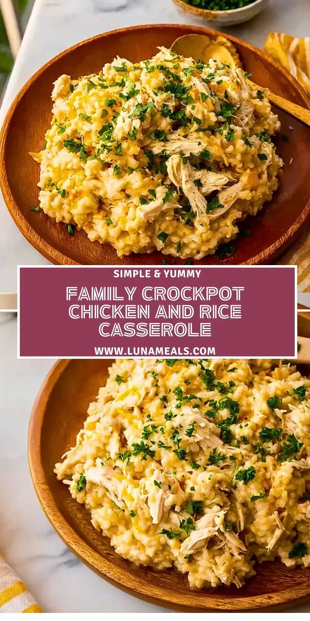 Family Crockpot Chicken And Rice Casserole (1)