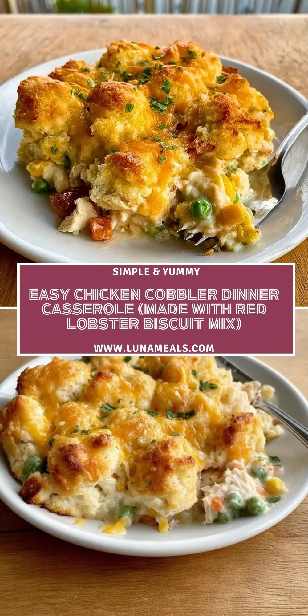 Easy Chicken Cobbler Dinner Casserole (Made with Red Lobster Biscuit Mix) (2)