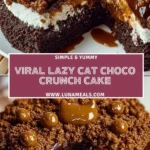 Viral Lazy Cat Choco Crunch Cake (2)