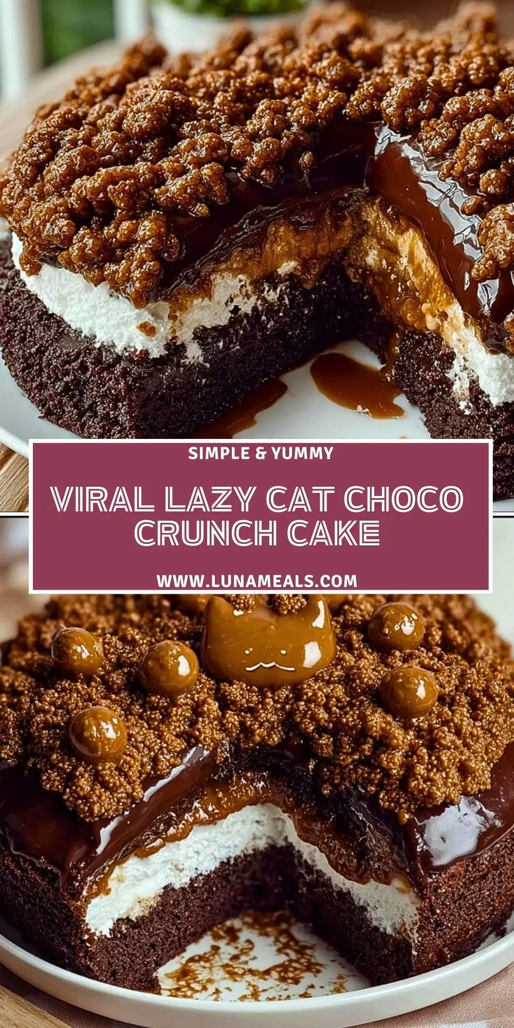 Viral Lazy Cat Choco Crunch Cake (2)