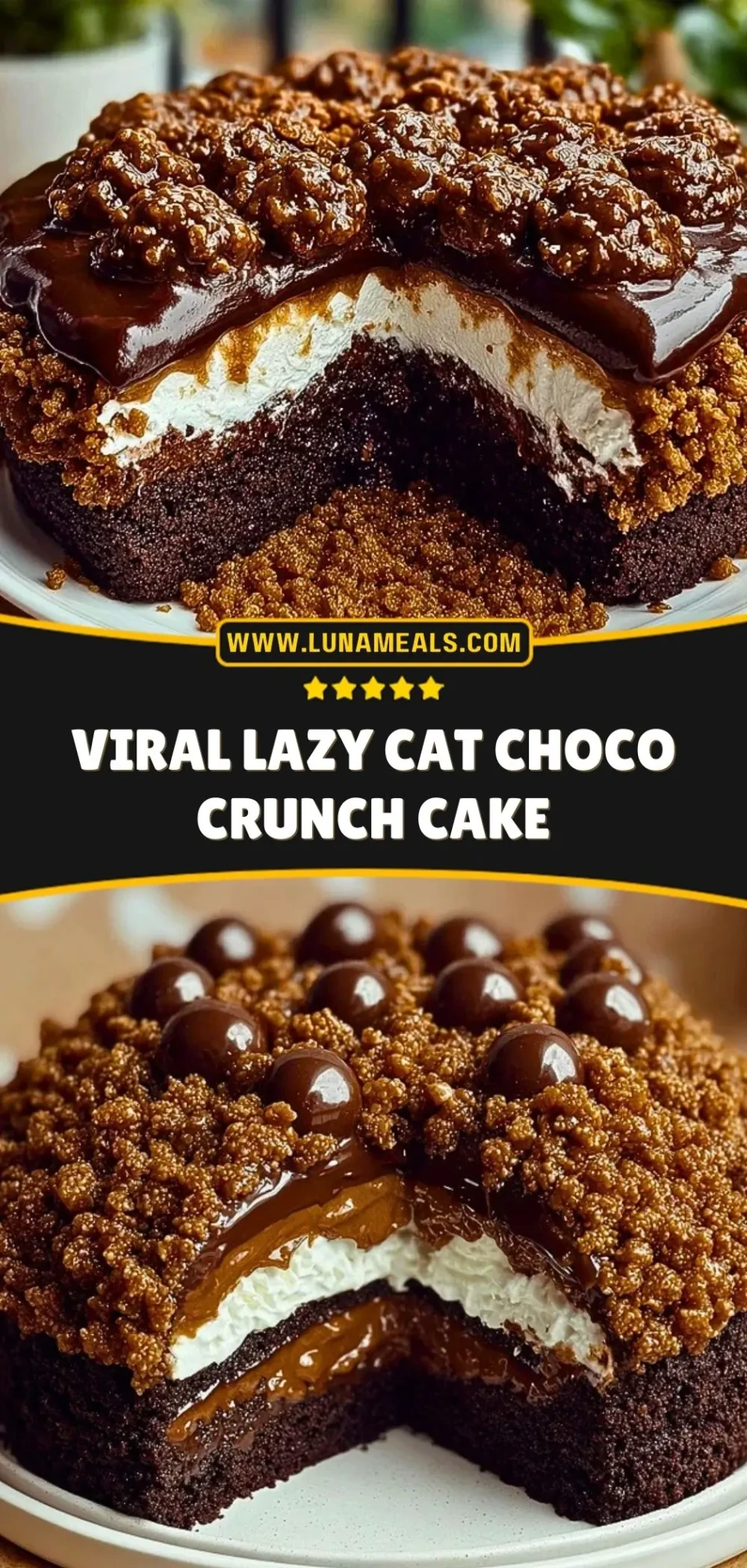 Viral Lazy Cat Choco Crunch Cake (3)